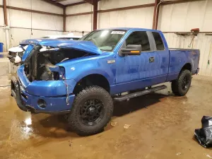 Ford F-150 4.6L 8 2007