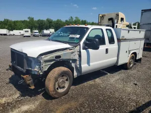 Ford F-250 5.4L 8 2006