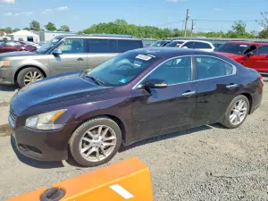 Nissan Maxima 3.5L 6 2011