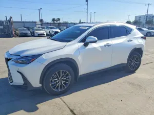 Lexus NX 2.5L 4 2025