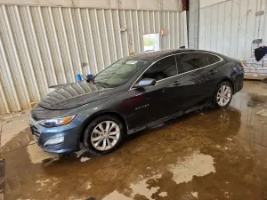 Chevrolet Malibu 1.5L 4 2019