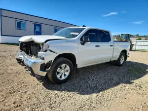 Chevrolet Silverado 1500 5.3L 8 2019
