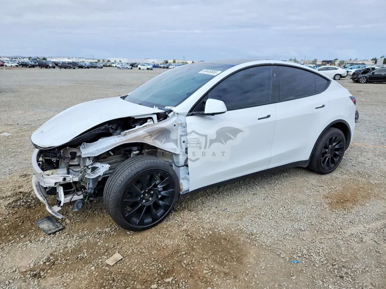 Tesla Model Y 2024
