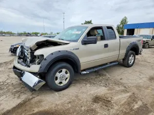 Ford F-150 4.6L 8 2010