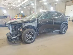 Lexus NX 2.4L 4 2025