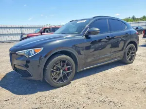 Alfa Romeo Stelvio 2.0L 4 2019