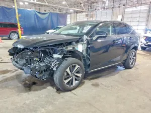 Lexus NX 2.0L 4 2021
