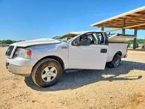 Ford F-150 4.6L 8 2004