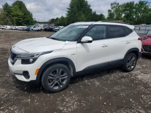 Kia Seltos 2.0L 4 2021