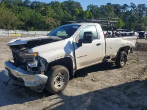 Chevrolet Silverado 1500 6.6L 8 2020