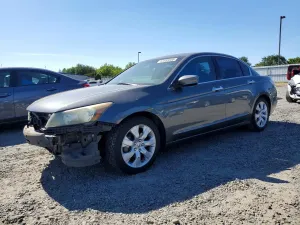 Honda Accord 3.5L 6 2010