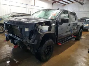 Chevrolet Silverado 1500 5.3L 8 2020