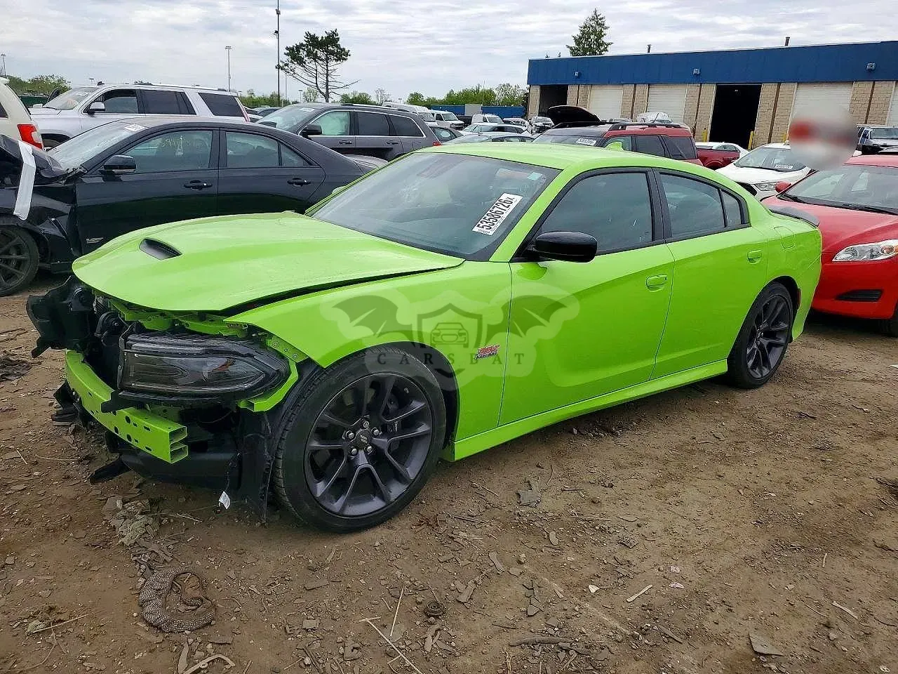 Dodge Charger 6.4L 8 2023