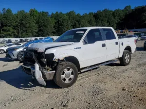 Ford F-150 4.6L 8 2010