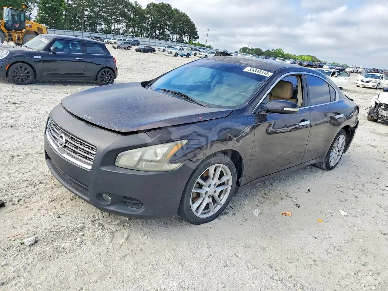 Nissan Maxima 3.5L 6 2011