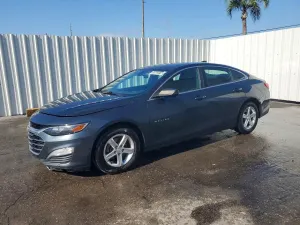 Chevrolet Malibu 1.5L 4 2019