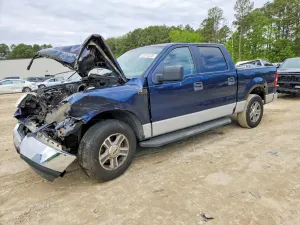 Ford F-150 4.6L 8 2005