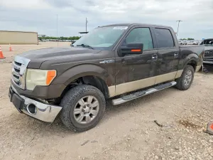 Ford F-150 4.6L 8 2009