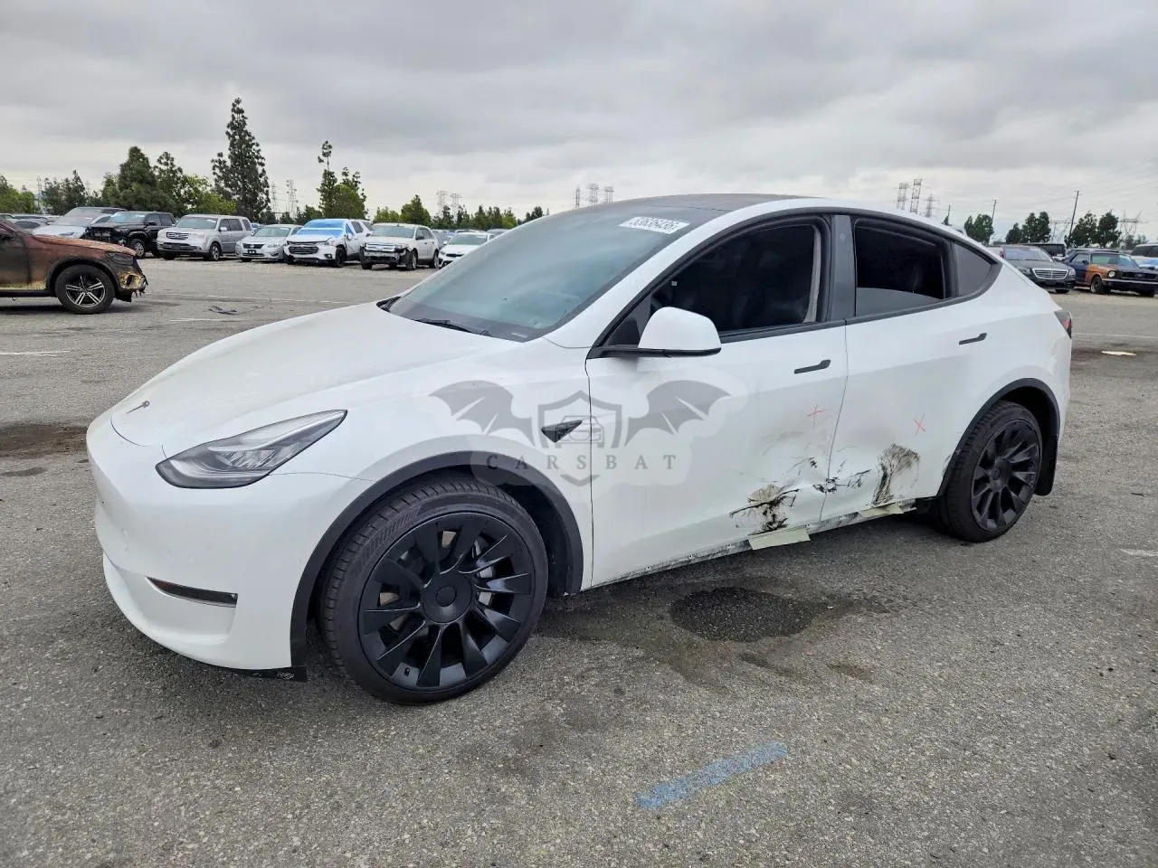 Tesla Model Y 2021