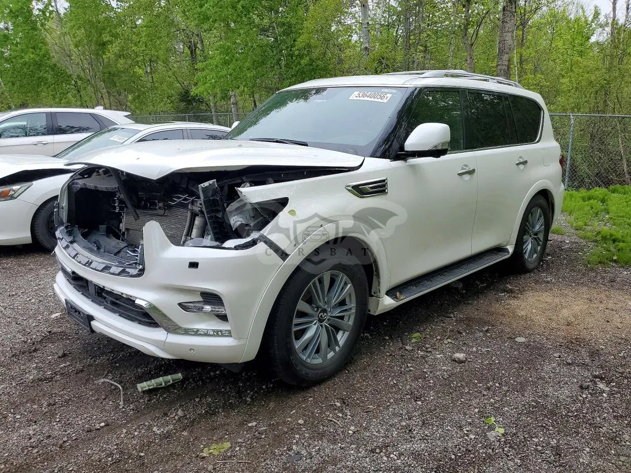 Infiniti QX80 5.6L 8 2024