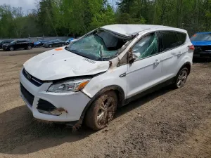 Ford Escape 1.6L 4 2016