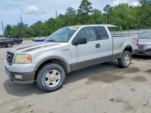 Ford F-150 5.4L 8 2004