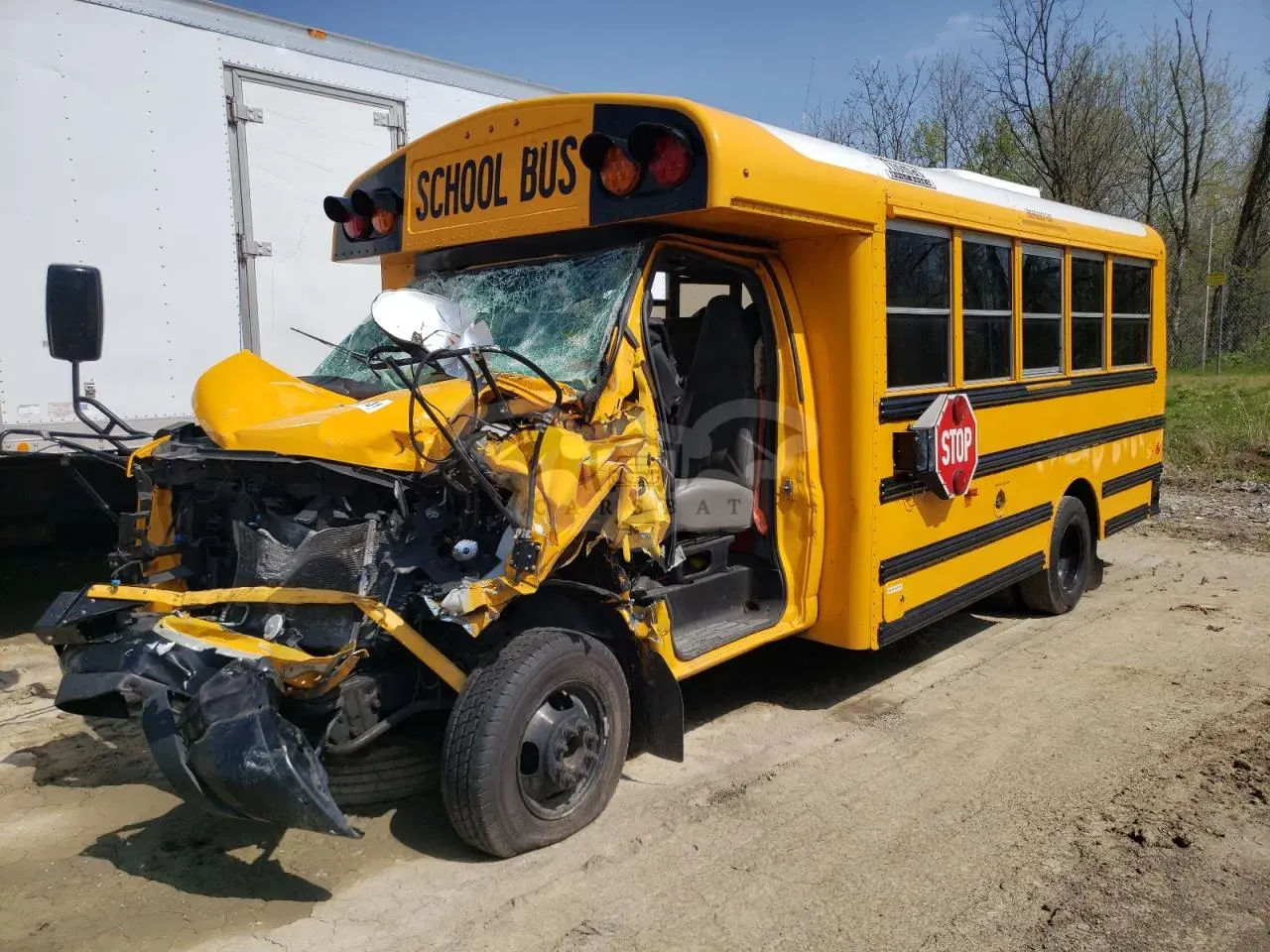 Chevrolet Express 6.6L 8 2021