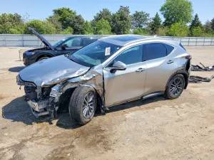Lexus NX 2.4L 4 2025