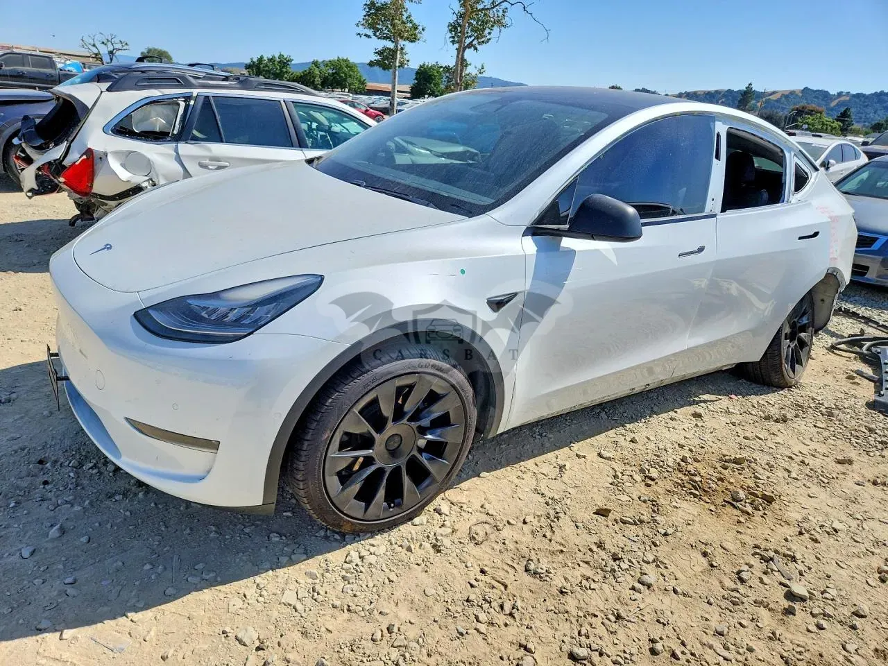 Tesla Model Y 2020