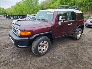 Toyota FJ Cruiser 4.0L 6 2007