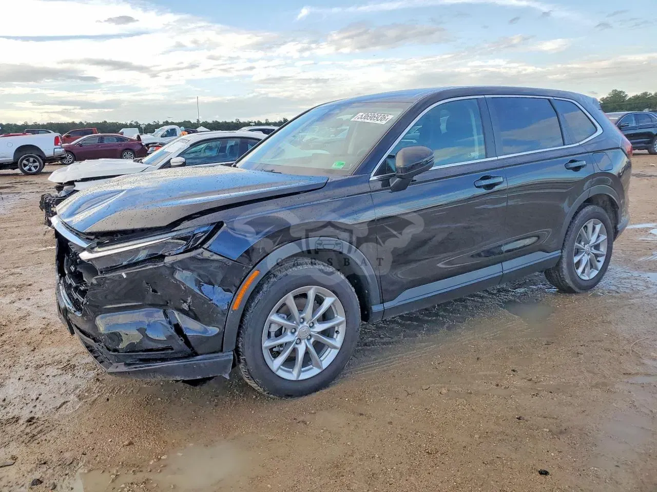 Honda CR-V 1.5L 4 2026