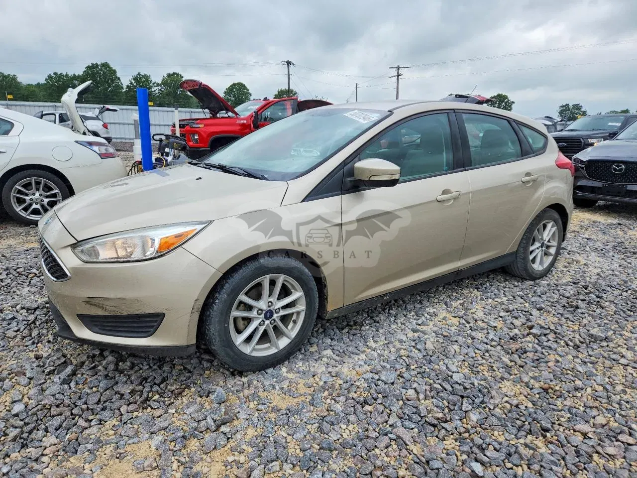 Ford Focus 2.0L 4 2017