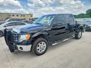 Ford F-150 4.6L 8 2009