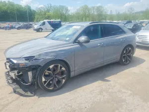 Audi RSQ8 4.0L 8 2023