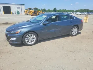 Chevrolet Malibu 1.5L 4 2019