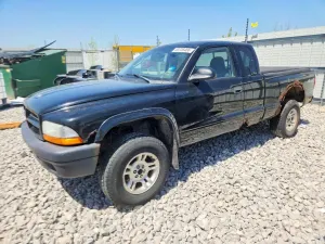 Dodge Dakota 3.9L 6 2003