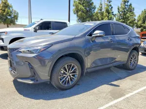 Lexus NX 2.5L 4 2025