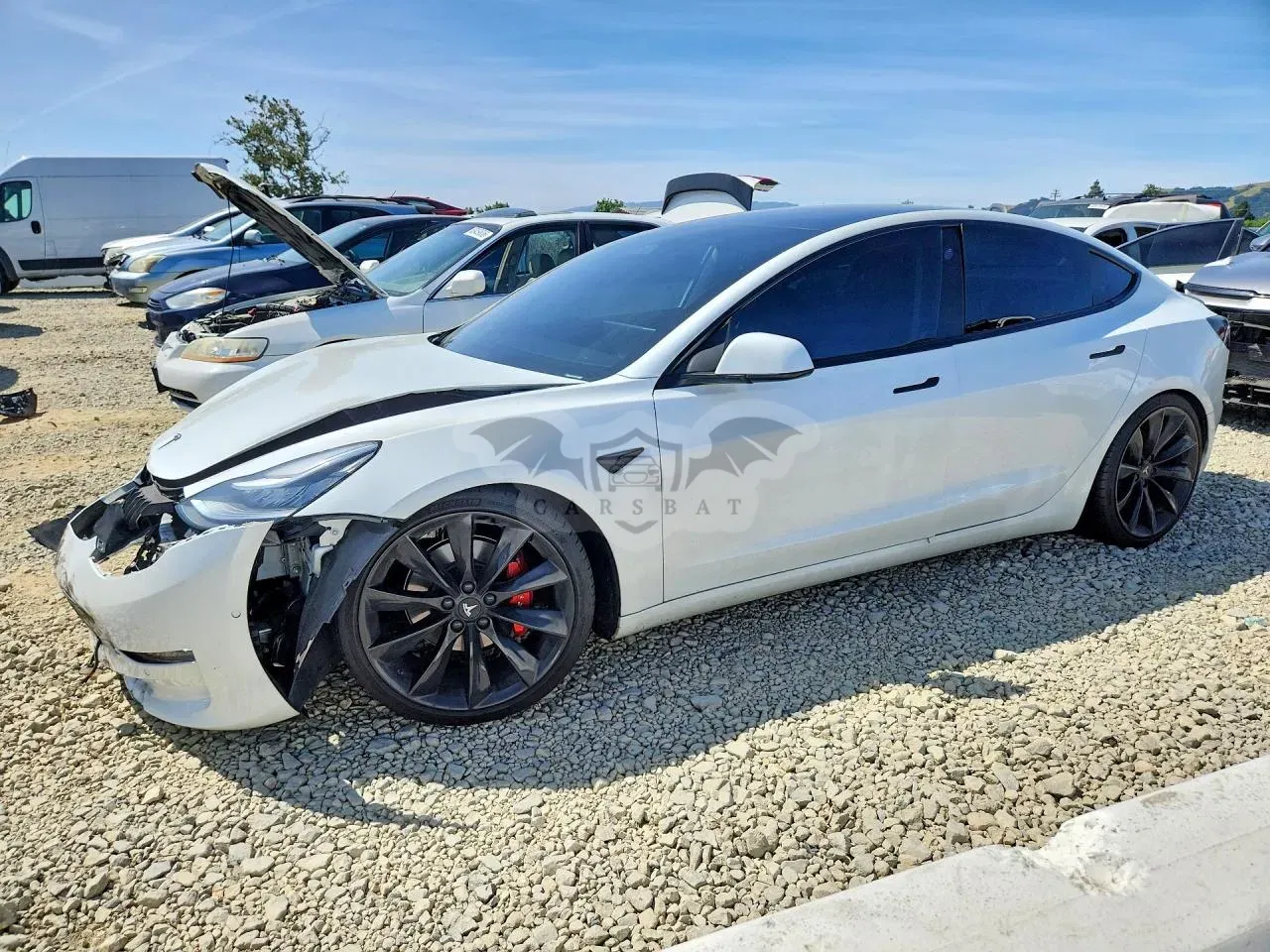 Tesla Model 3 2019