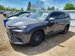 Lexus TX Series 2.4L 4 2024