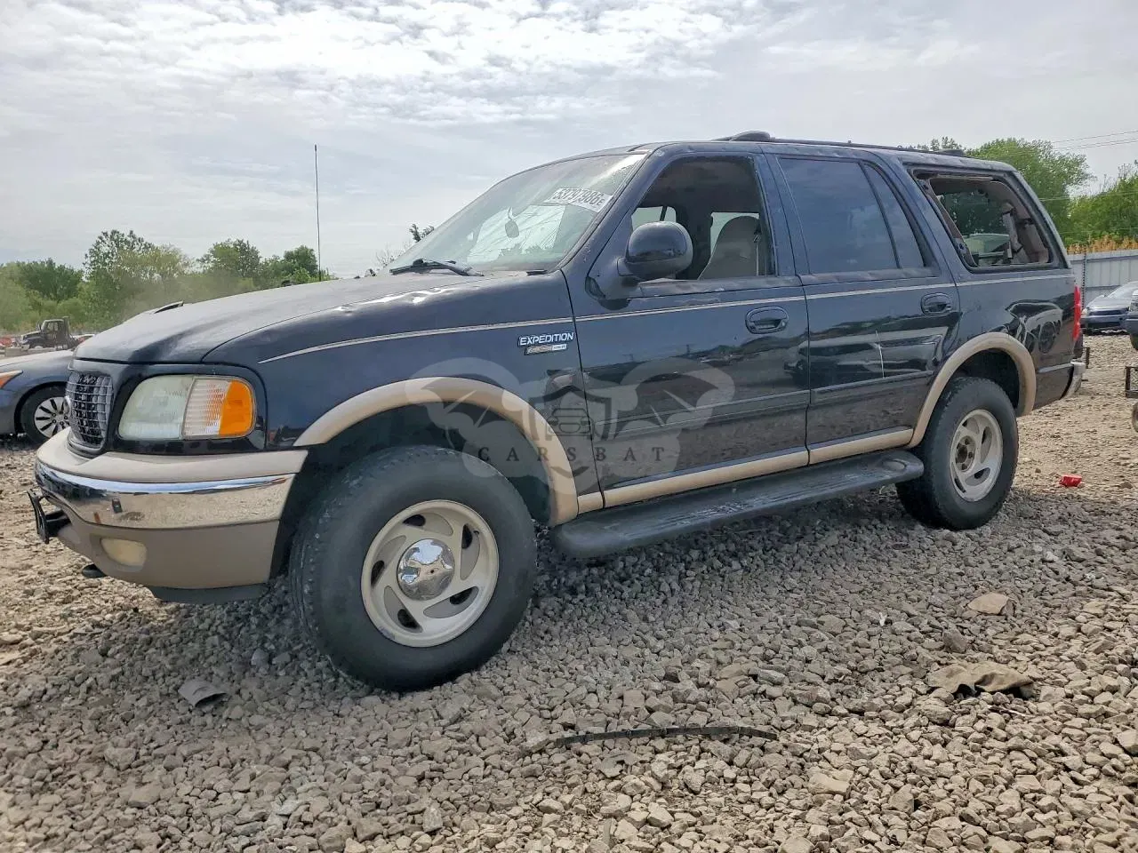 Ford Expedition 5.4L 8 1999