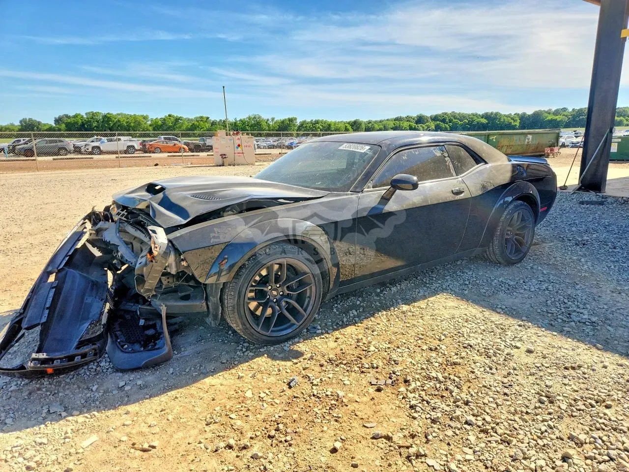 Dodge Challenger 6.4L 8 2019