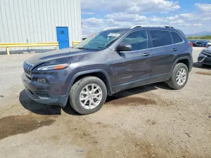 Jeep Cherokee 2.4L 4 2015
