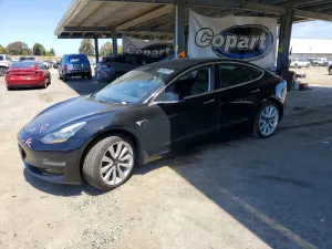 Tesla Model 3 2019
