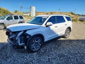 Hyundai Palisade 3.8L 6 2024