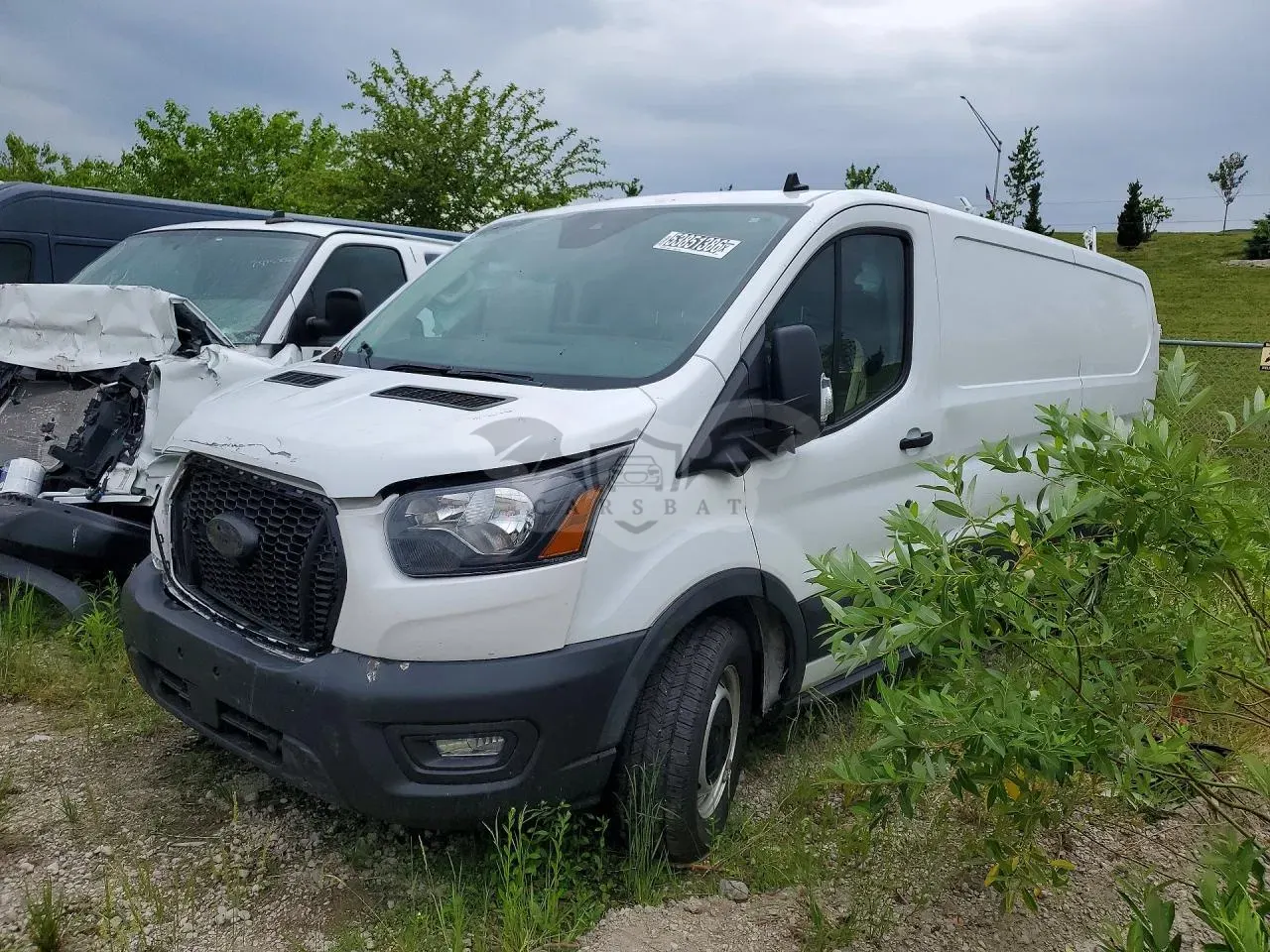 Ford Transit 3.5L 6 2023