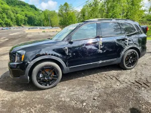 Kia Telluride 3.8L 6 2025