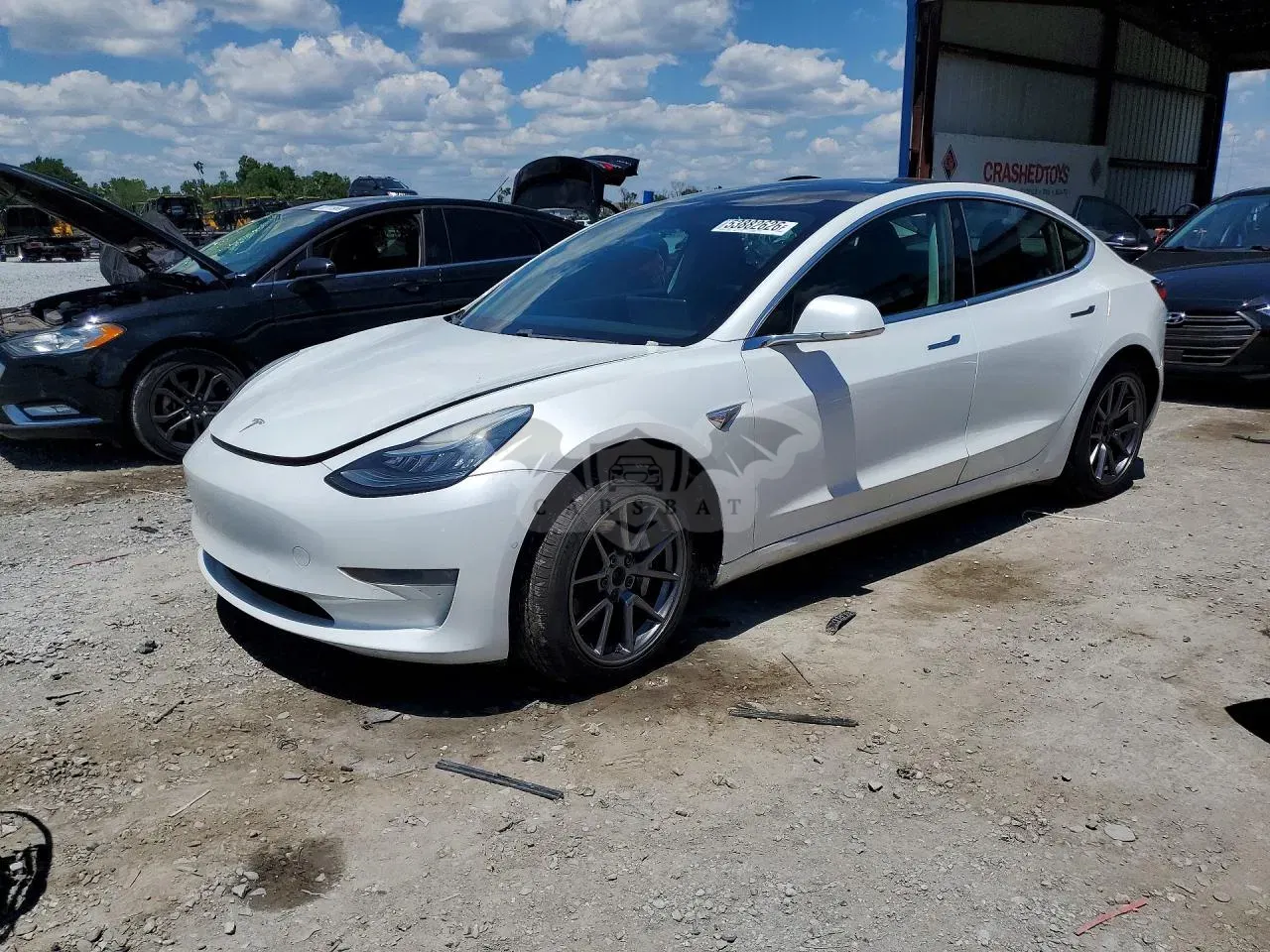 Tesla Model 3 2019