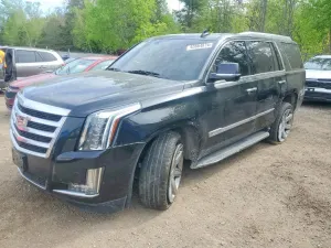 Cadillac Escalade 6.2L 8 2019