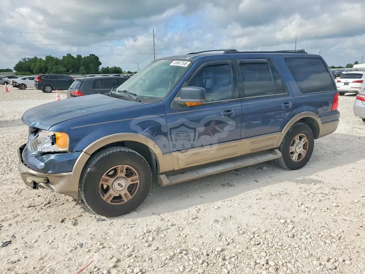 Ford Expedition 4.6L 8 2004