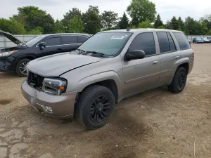 Chevrolet Trailblazer 4.2L 6 2008